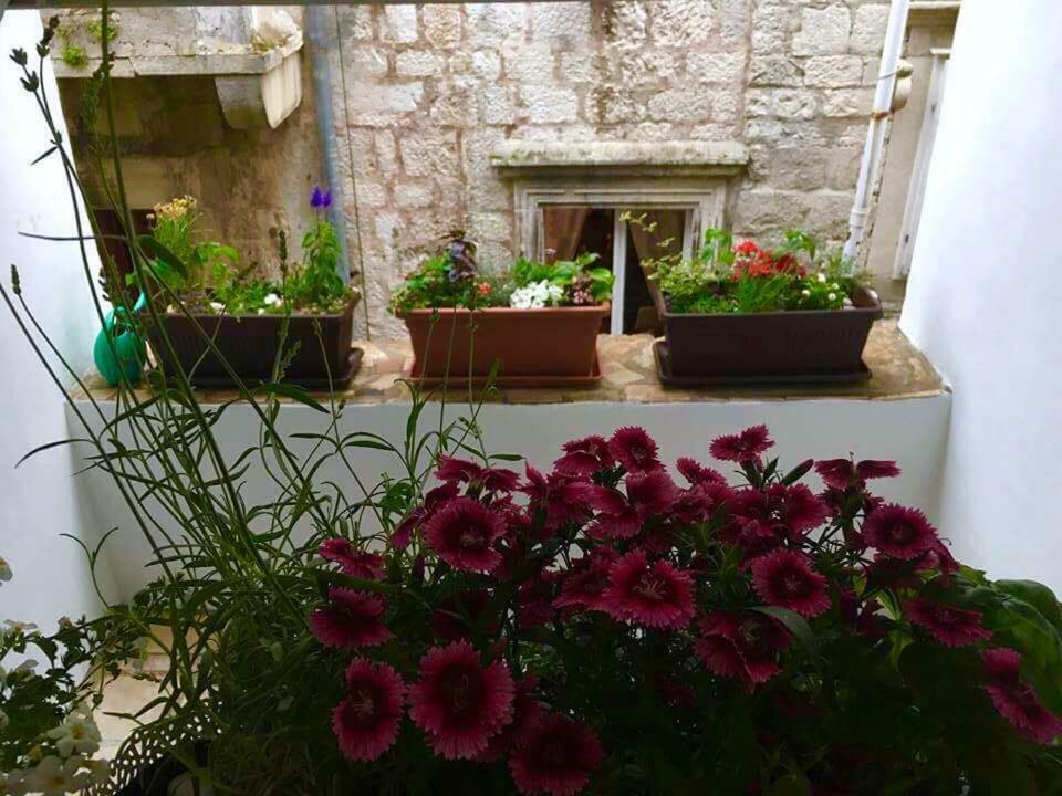 Puntin Rooms Sobe Korčula Exterior foto